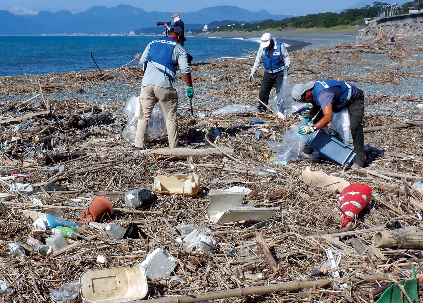 海岸清掃の様子