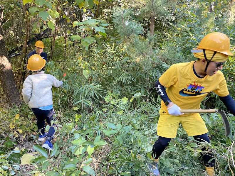 地球緑化センターの活動