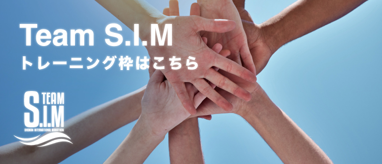 TEAM SIM