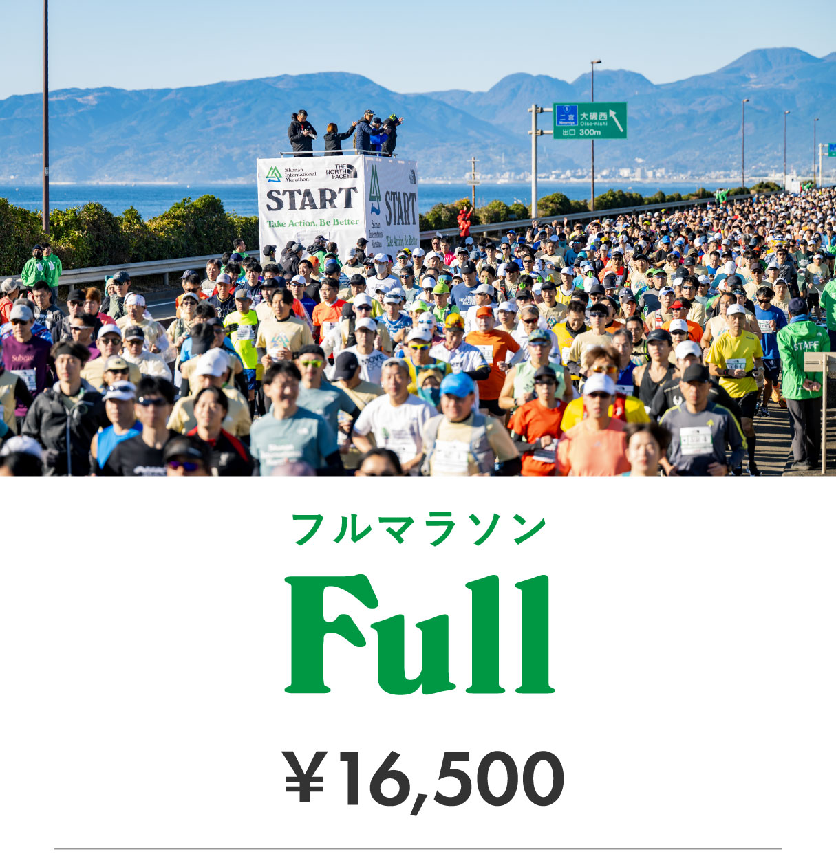 フルマラソン