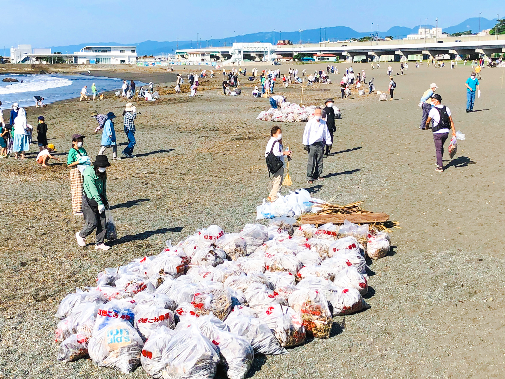 海岸清掃の様子