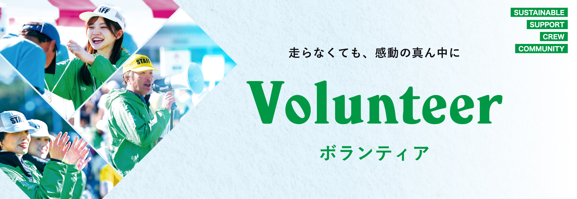 ボランティア募集